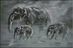 (image for) The Mist